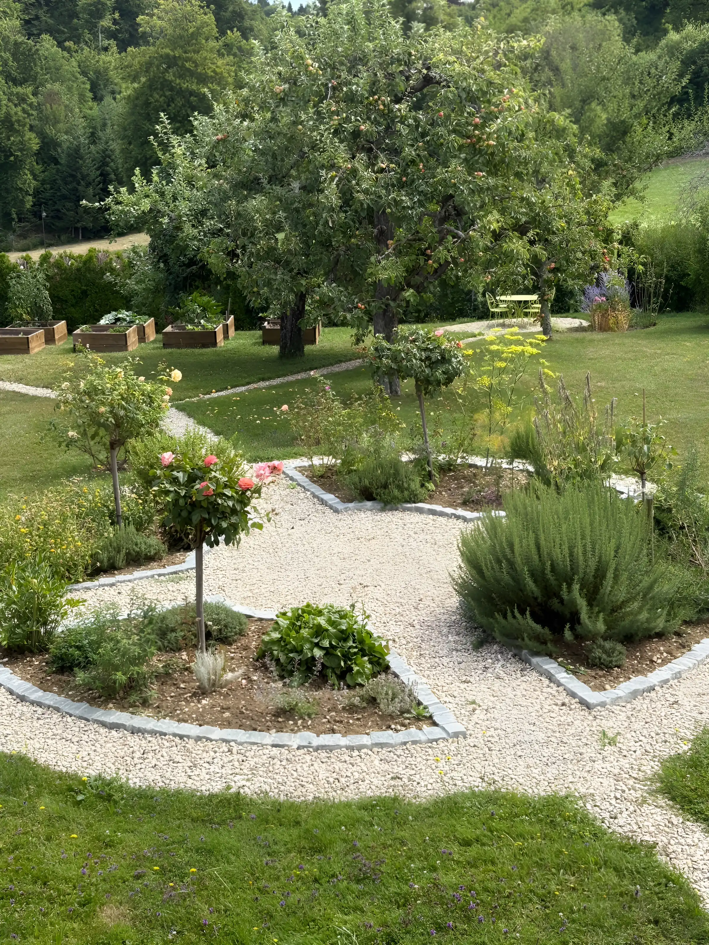 Jardin d'aromatiques et de rosiers-tiges, allées de gravier bordées de pavés, pommiers en arrière-plan